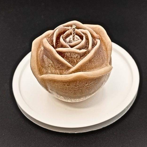 Róża - Duży Pąk 0