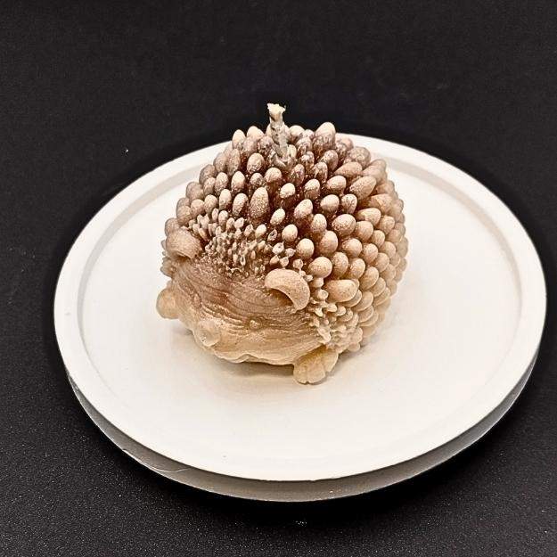 "Leśny Przyjaciel" 0