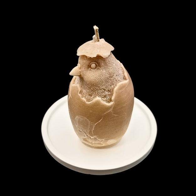 "Wiosenny Pisklak" 0