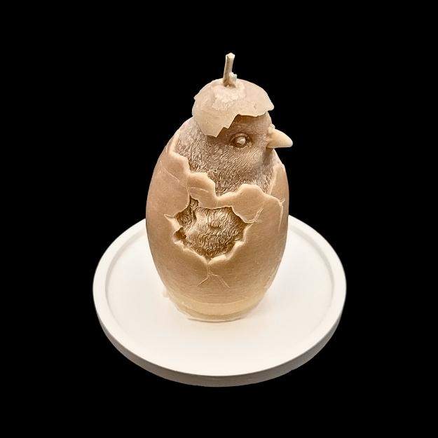 "Wiosenny Pisklak" 1